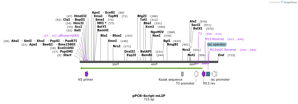 73607_map