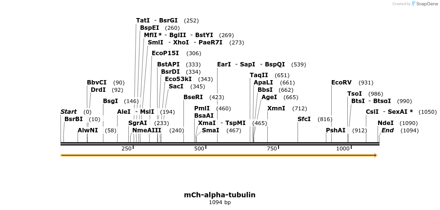 73609_map