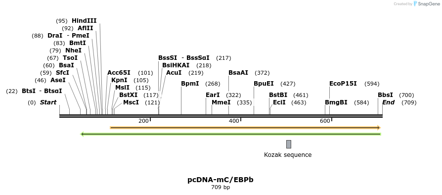 73611_map