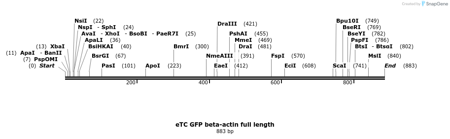 73612_map