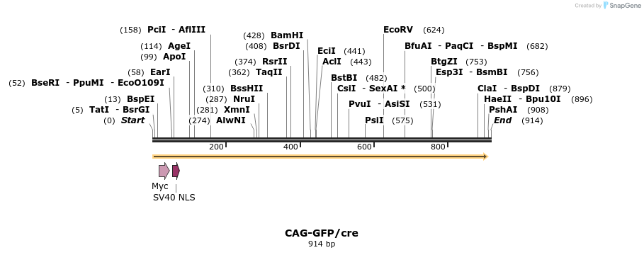 73615_map
