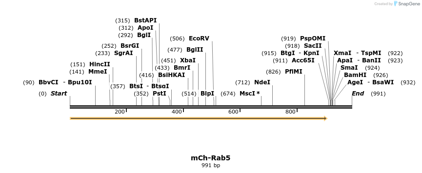 73618_map