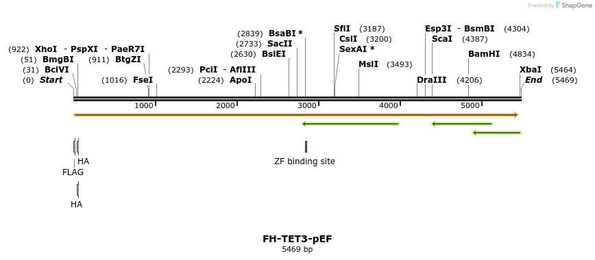 73623_map