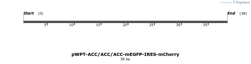 73646_map