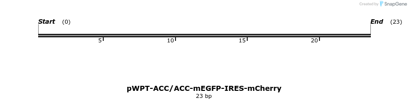 73648_map