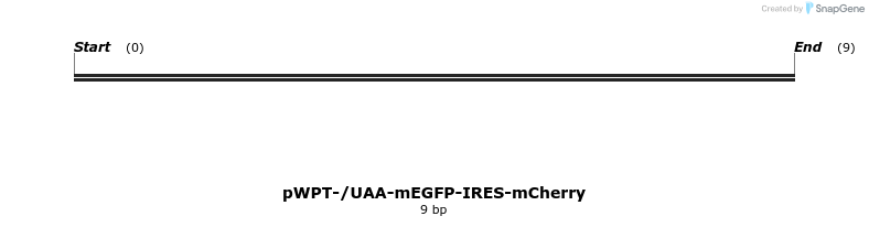 73658_map