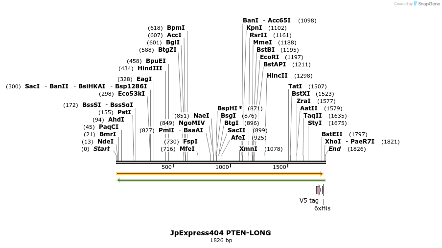 73666_map