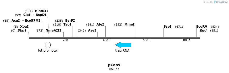 73677_map