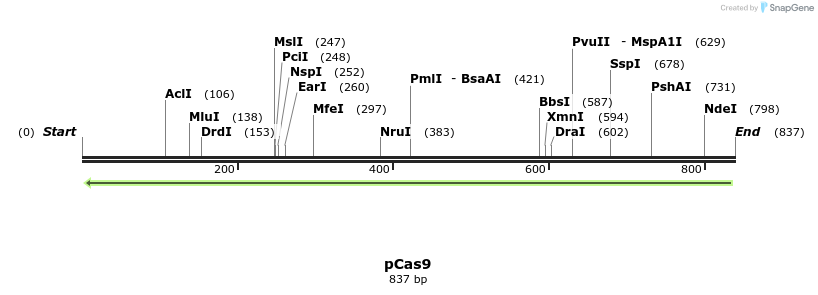 73678_map