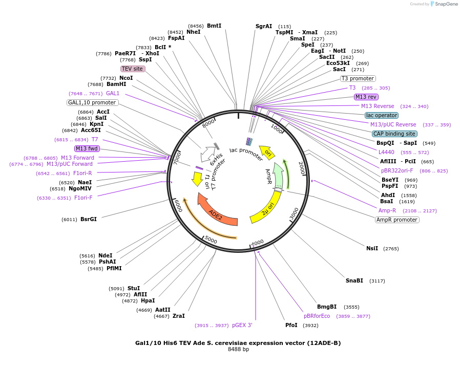 73680_map