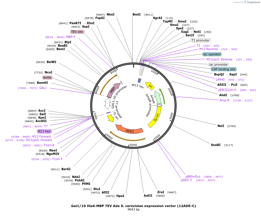 73681_map