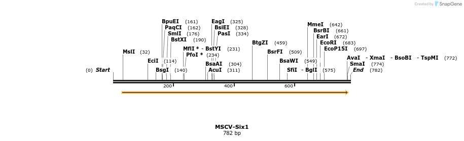 73683_map