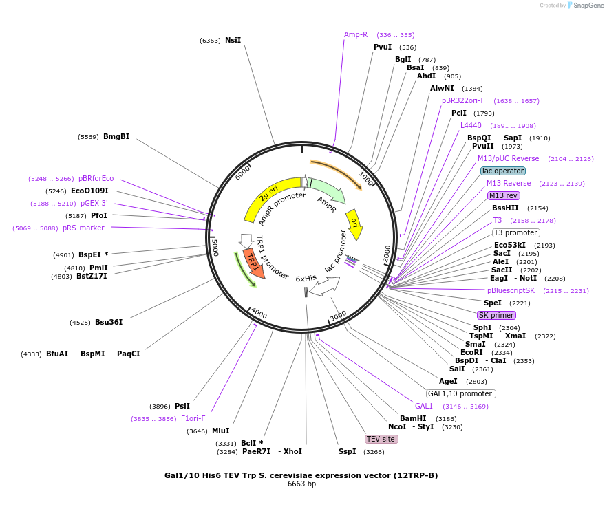 73684_map