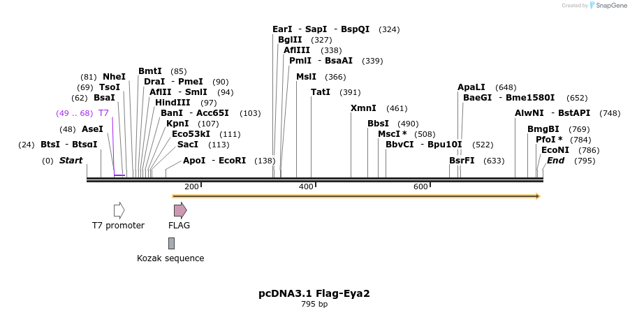 73687_map