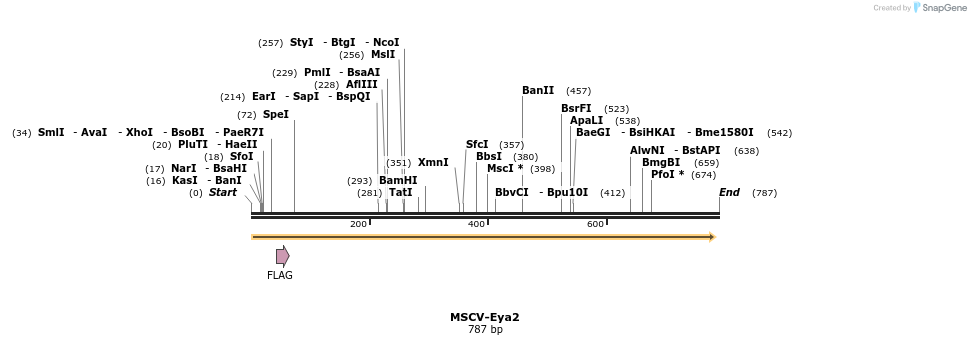 73690_map