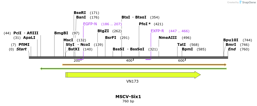 73692_map