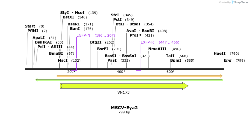 73694_map