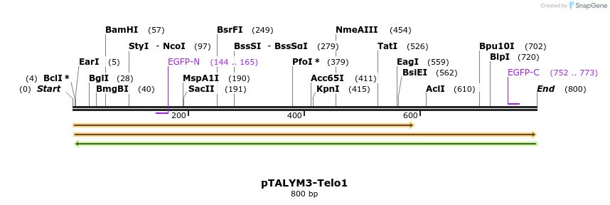 73697_map