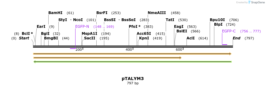 73698_map