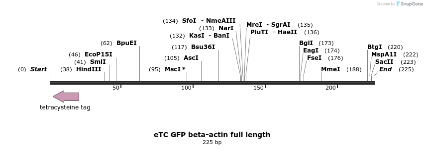 73701_map