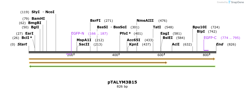 73705_map