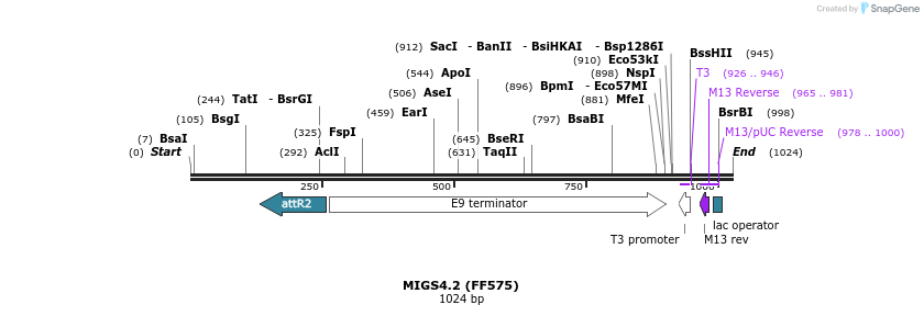 73706_map