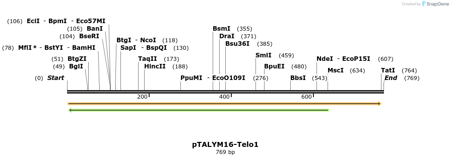 73707_map