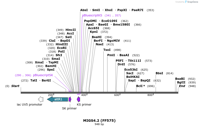 73708_map