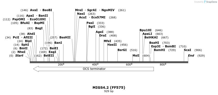 73709_map