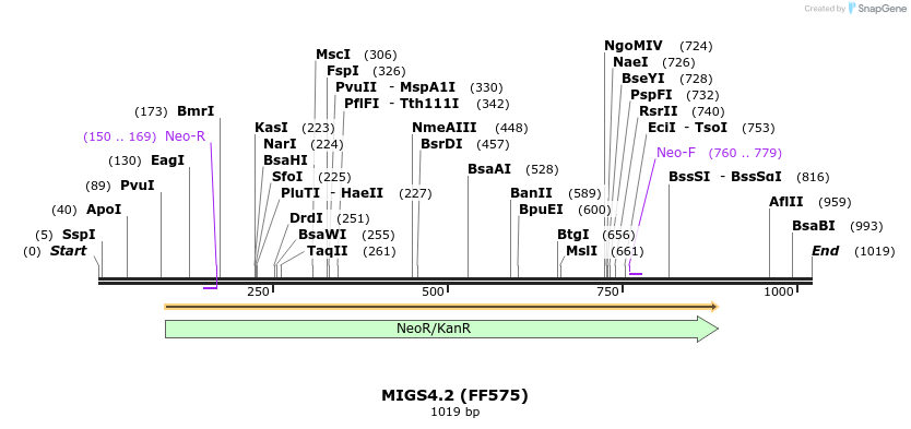 73710_map
