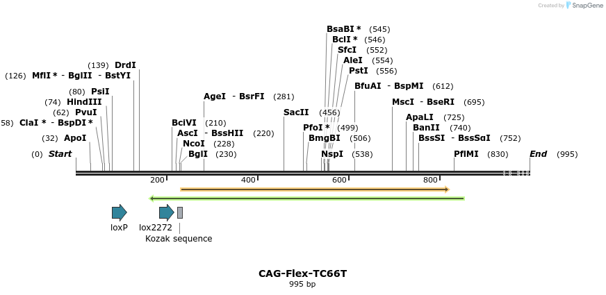 73716_map