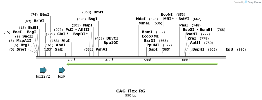 73718_map