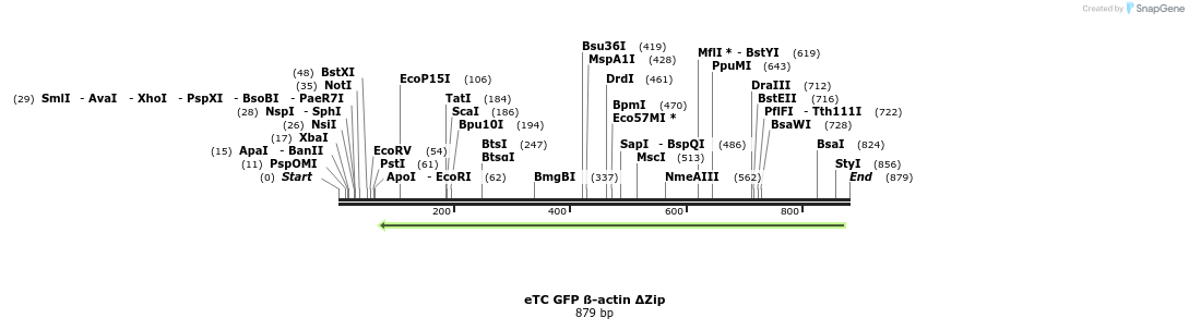 73721_map