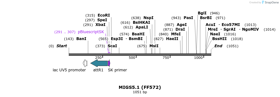 73724_map