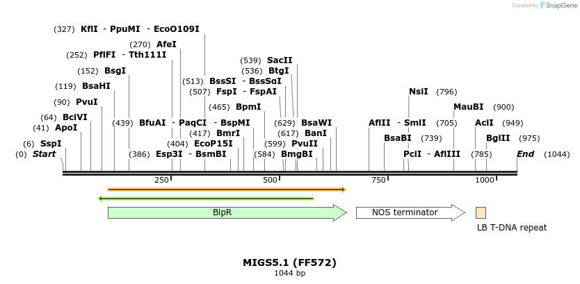 73725_map