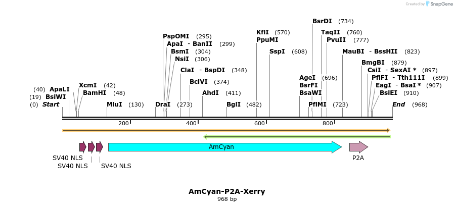 73728_map