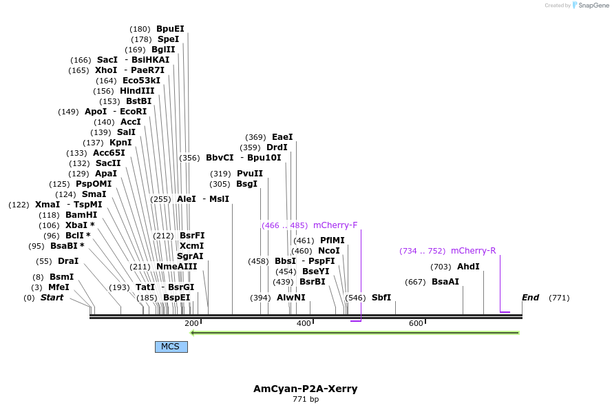 73729_map