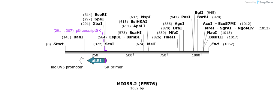 73735_map