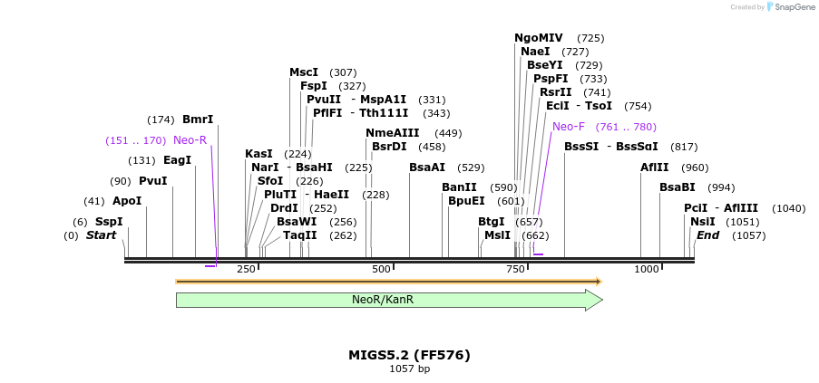 73736_map