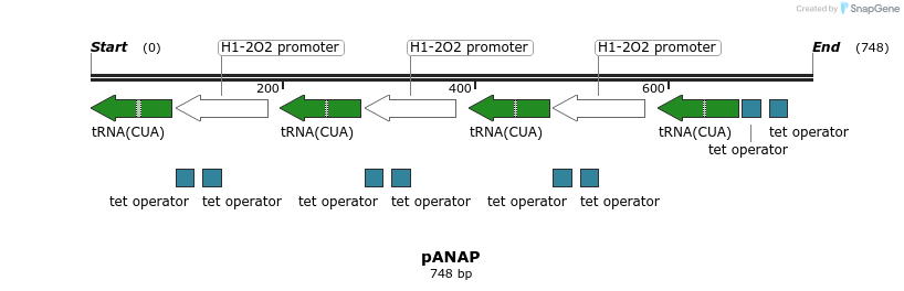 73737_map