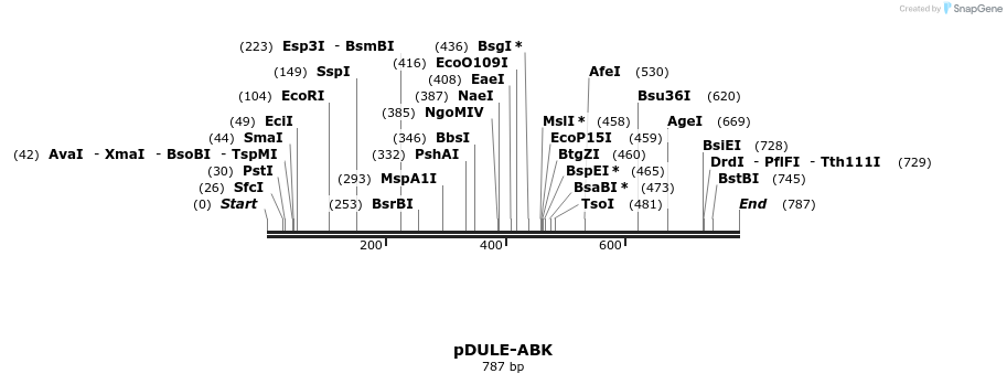 73740_map
