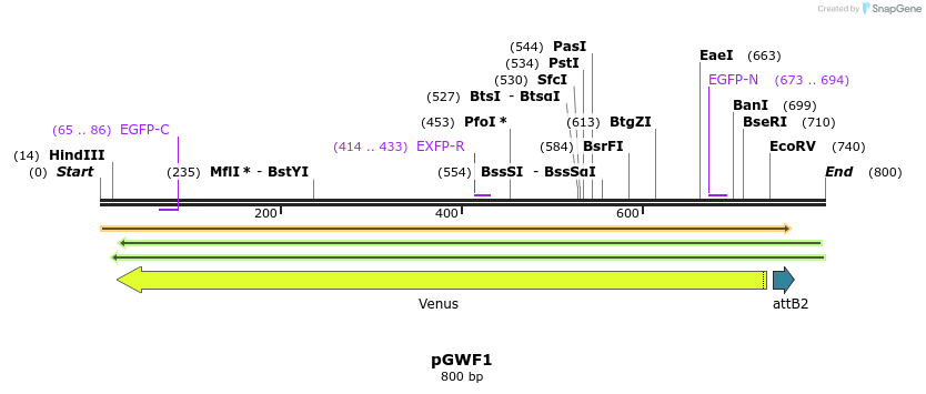 73748_map