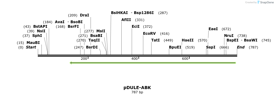 73751_map