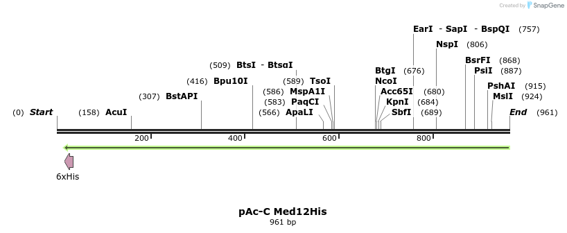 73752_map