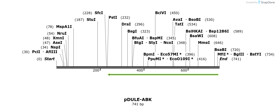 73755_map