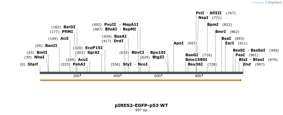 73757_map