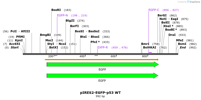 73759_map