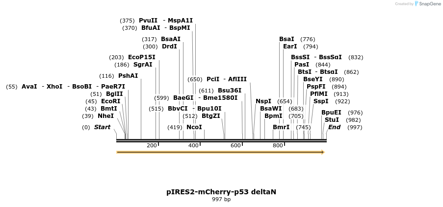 73766_map