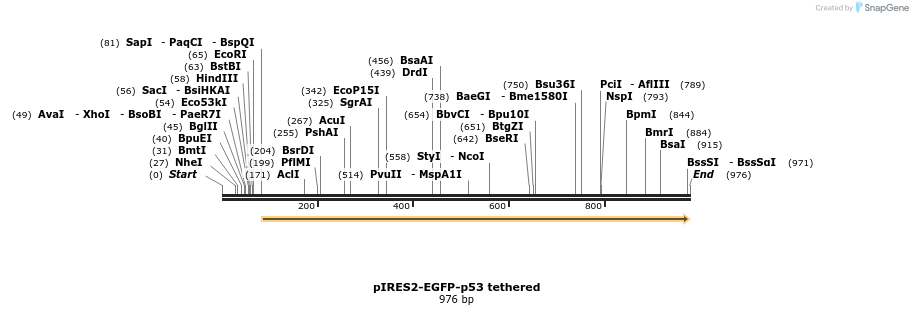 73774_map