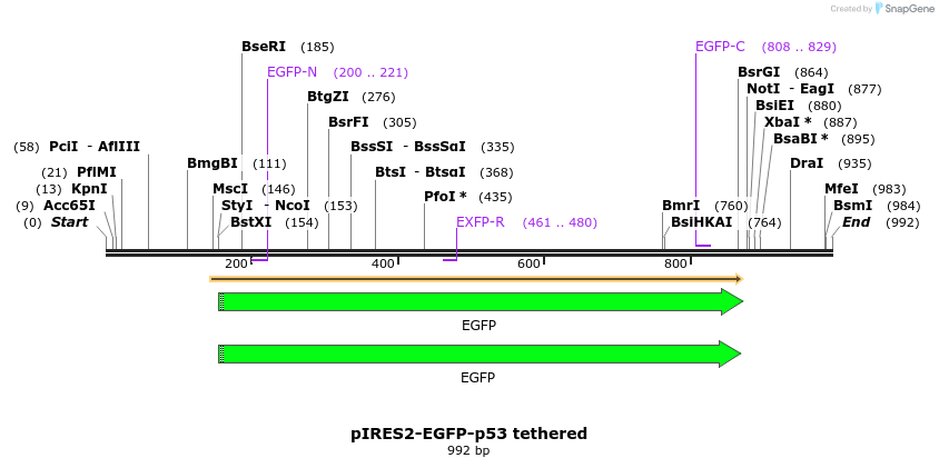 73778_map